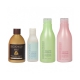 Set: Gold Brazilian Keratin 250ml + Clarifying Shampoo 150ml + Sulphate-Free Shampoo 400ml + Professional Conditioner 400ml COCOCHOCO