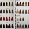 Eslabondexx Haarverf Color Bundel Pack