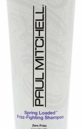 Paul Mitchell Frizz Fighting Shampoo 250ml – Sulfate Free